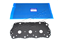 GASKET-CAMSHAFT (Britpart) LVP100470L