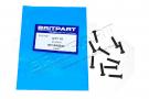 SCREW M4 X 8MM X10 SF104204L