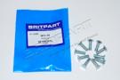 SCREW SF106201L *BAG OF 10*