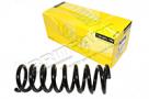 COIL SPRING (Britpart ) REB500050 REB000562